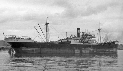 Bicaba por T. Diedrich